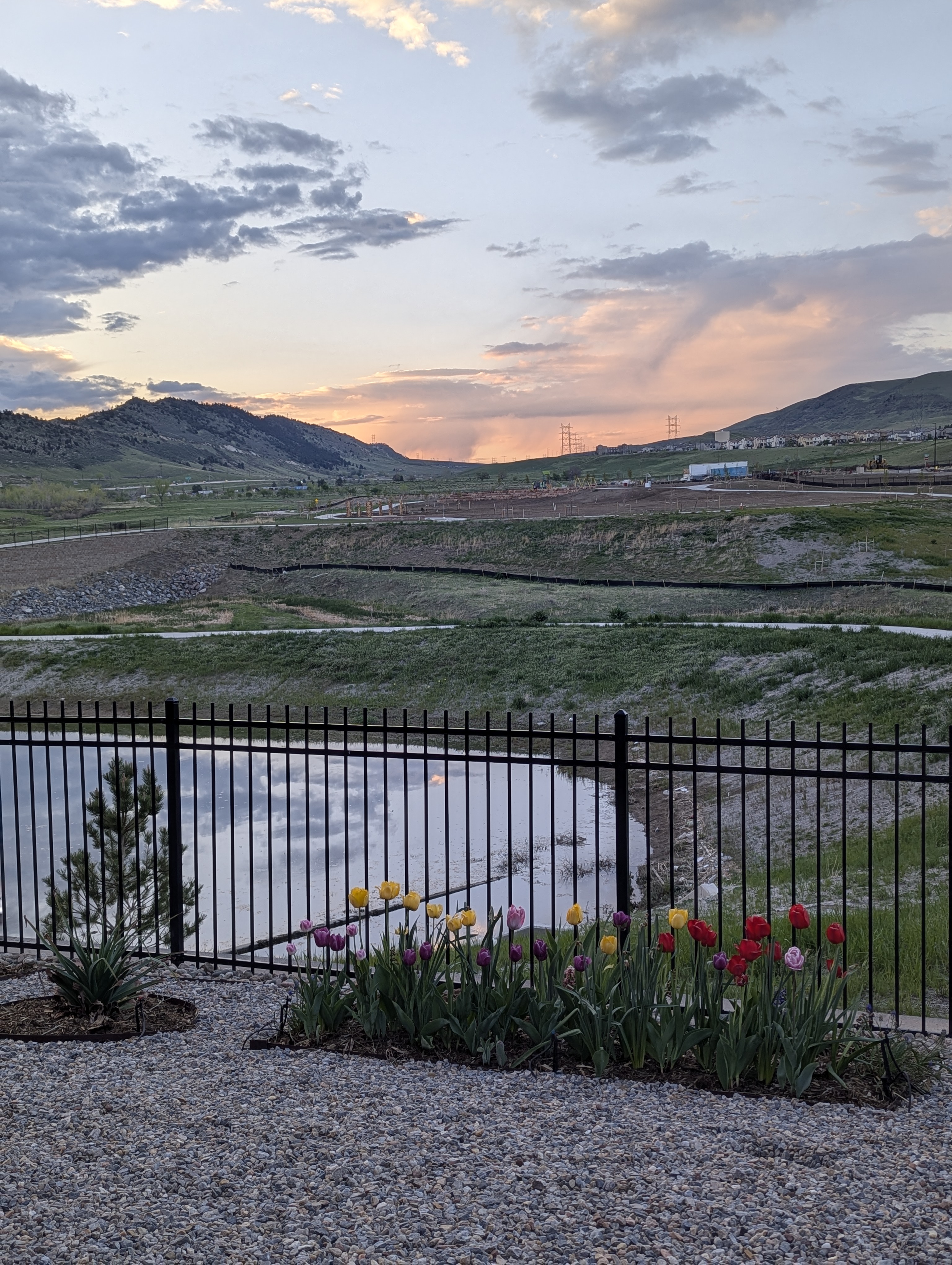 Garden, Flowers, Morrison, Colorado